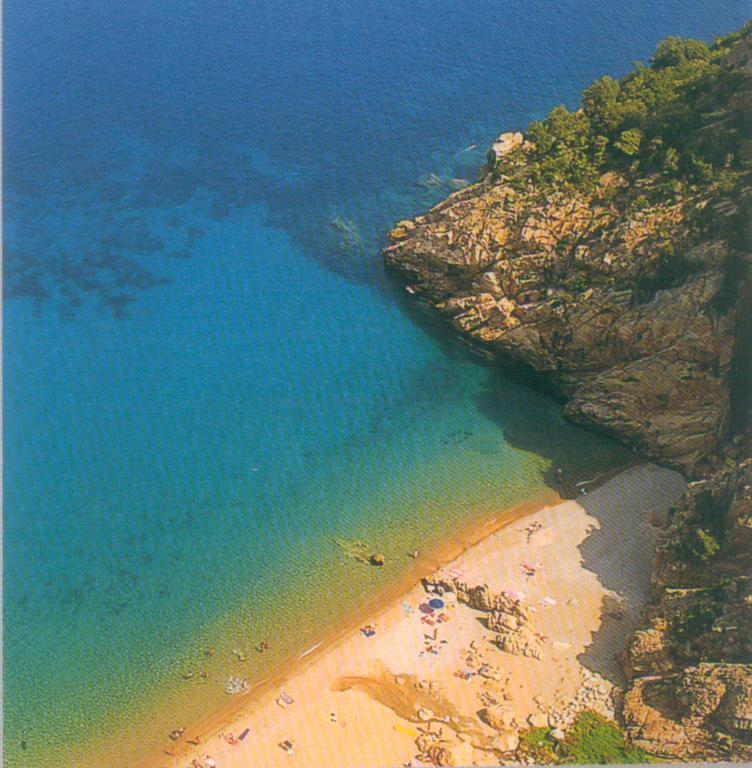 Chambre d'hôtes La Potinière Saint-Raphaël Extérieur photo